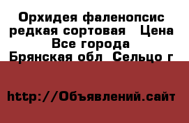 Орхидея фаленопсис редкая сортовая › Цена ­ 800 - Все города  »    . Брянская обл.,Сельцо г.